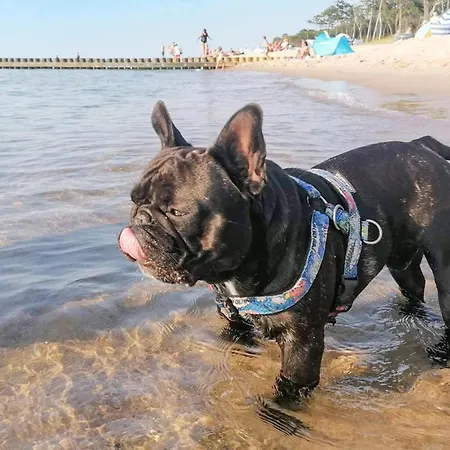 2 Bedroom Gorgeous In Боболин