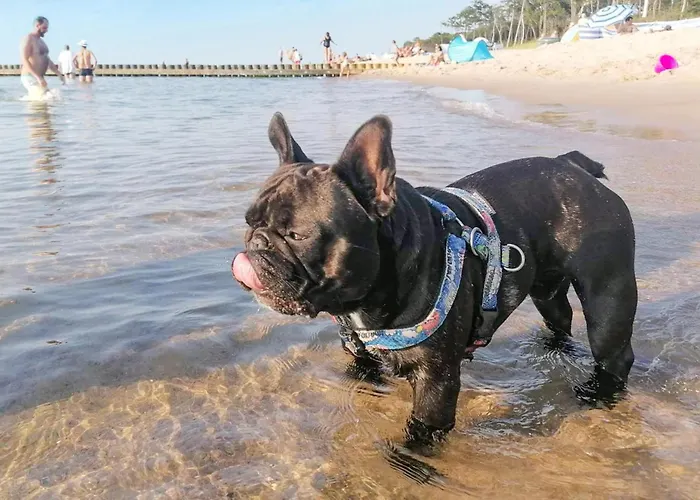 2 Bedroom Gorgeous In Bobolin